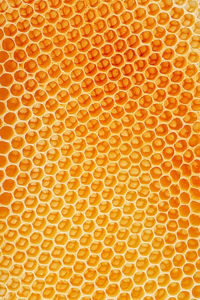 imker-wordpress-galerie-webseite-1200_hw