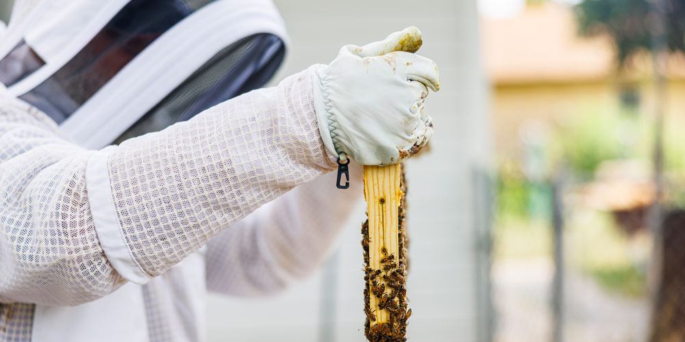 Formatierungen im Blog und auf der Webseite