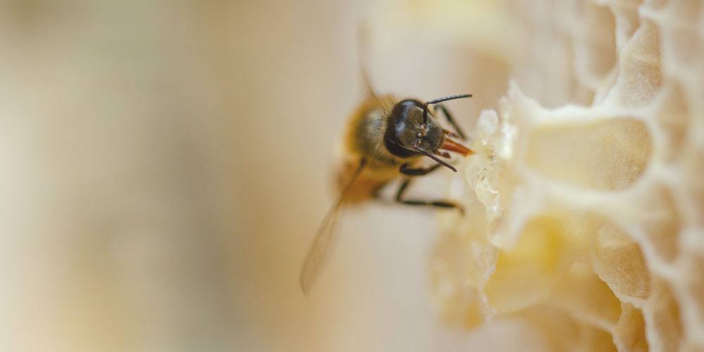 Oder posten Sie einen kurzen Status