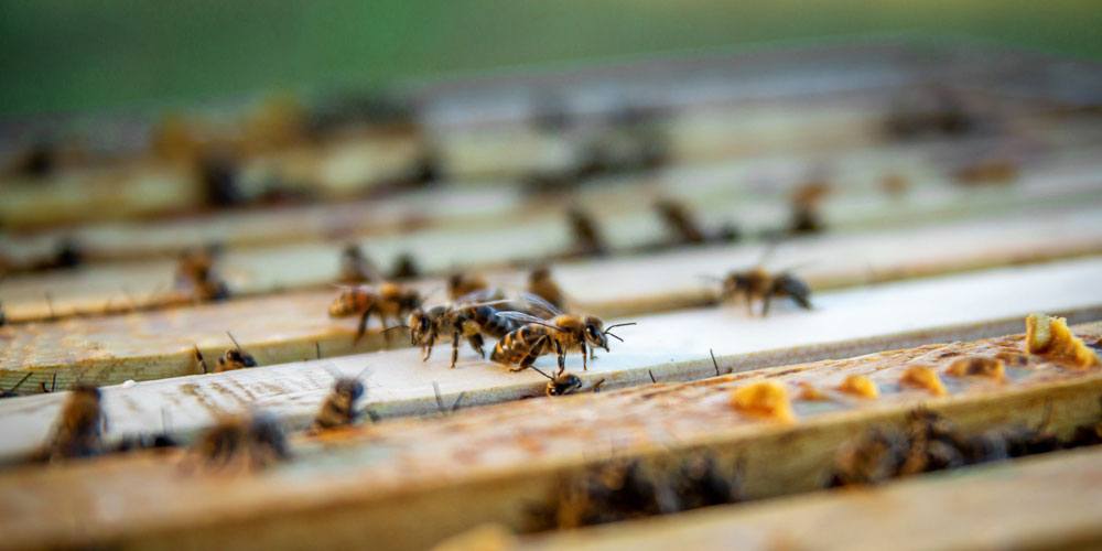 …Videos veröffentlichen